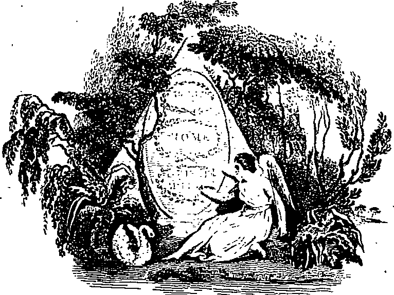 019/019210020400010_0.png