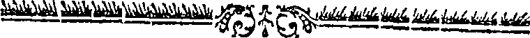 019/019230020000740_0.png