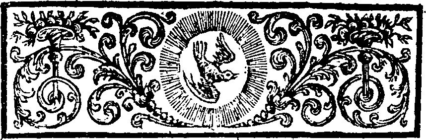 019/019310080001360_1.png