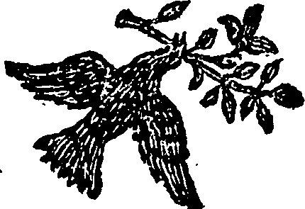 019/019320020000060_0.png