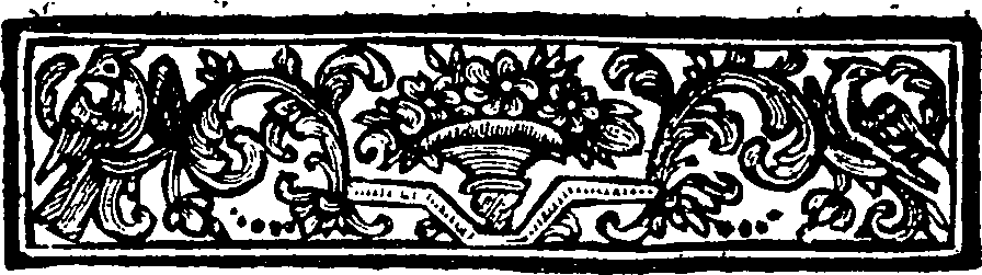 019/019390010300900_1.png