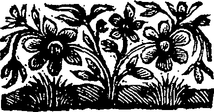 019/019390010400010_0.png