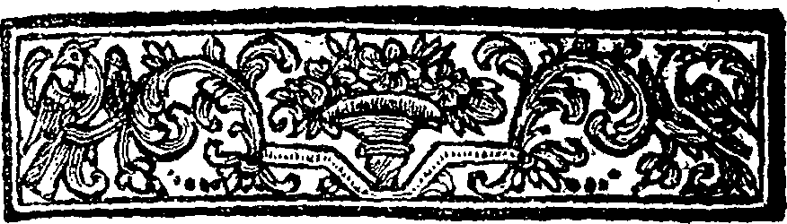 019/019390010402480_1.png