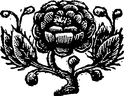019/019390010500010_0.png