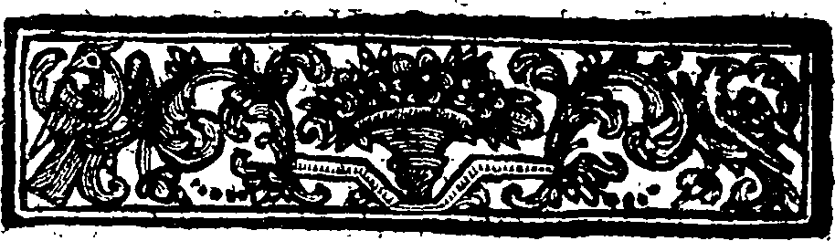 019/019390010500020_1.png