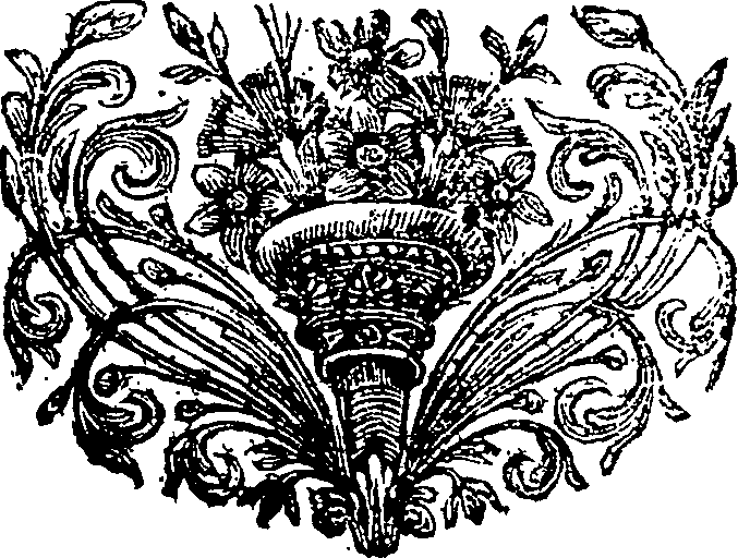 019/019390010502640_0.png