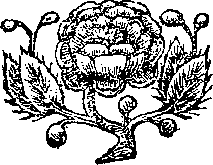 019/019390010601840_0.png