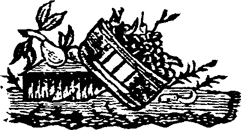 019/019490020100010_0.png