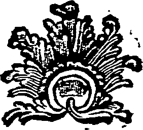 019/019490020101560_0.png