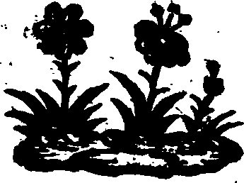 019/019490020200010_0.png