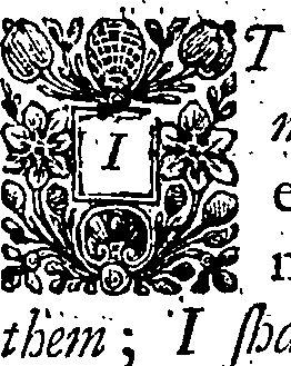 019/019540060000020_0.png