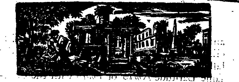 019/019560120000260_1.png