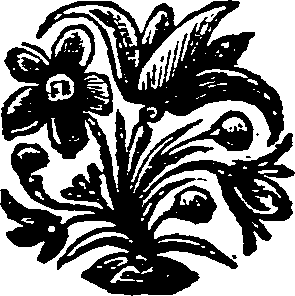 019/019580090000250_0.png