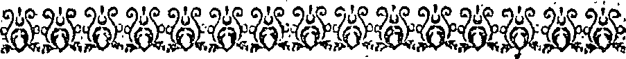 019/019620050003270_1.png
