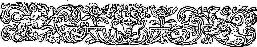 019/019620050003910_1.png