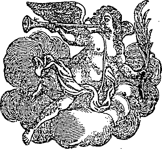 019/019620060101070_0.png
