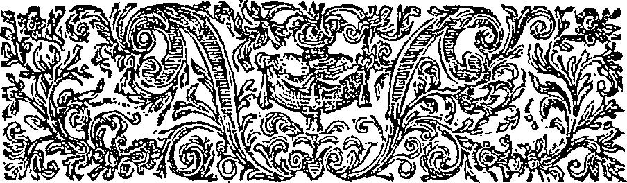 019/019620060101350_2.png