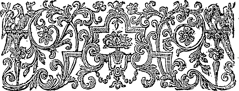 019/019620060101870_2.png
