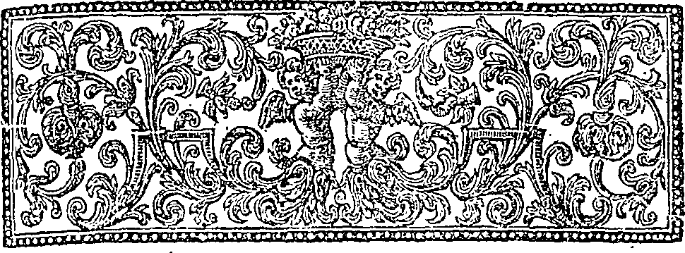 019/019620060102530_1.png