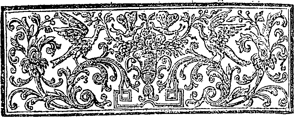 019/019620060102800_2.png