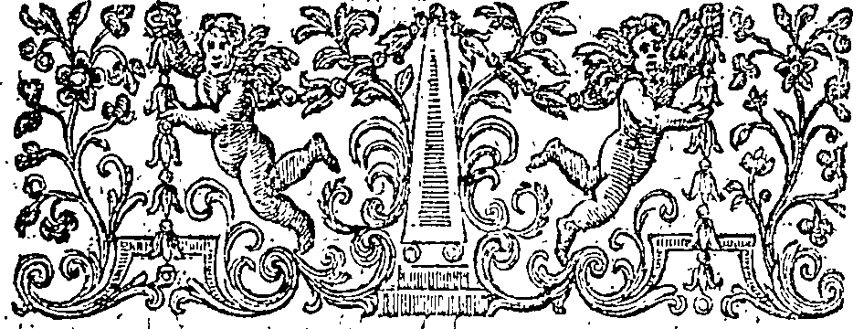 019/019620060102940_2.png