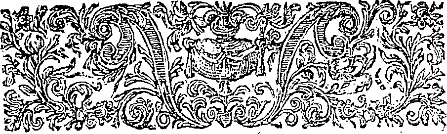 019/019620060201930_1.png