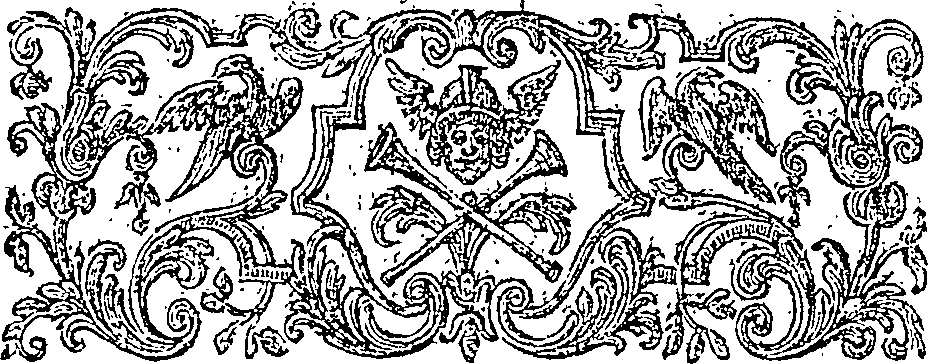 019/019620060202170_2.png