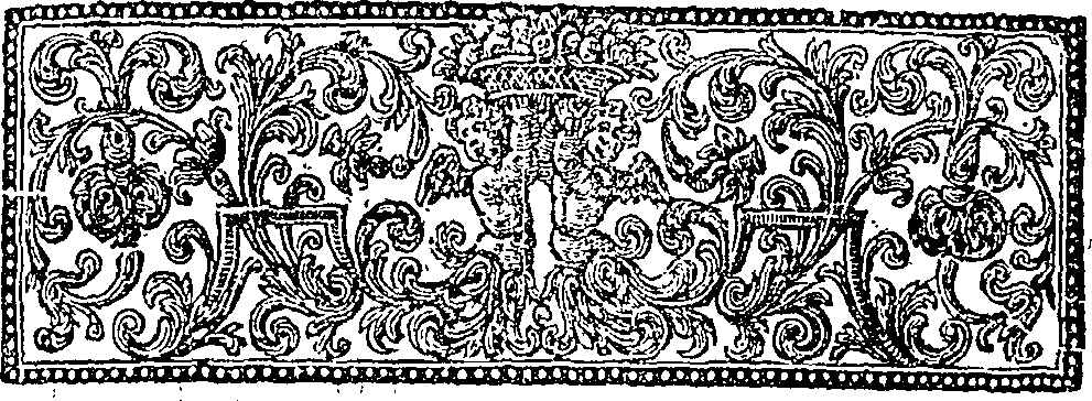 019/019620060202760_2.png
