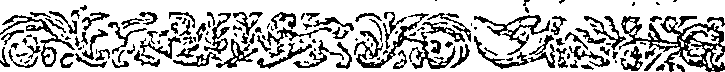 019/019630010303320_1.png
