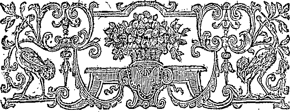 019/019630010303650_2.png