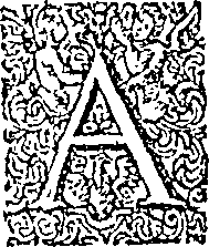019/019630010304240_0.png