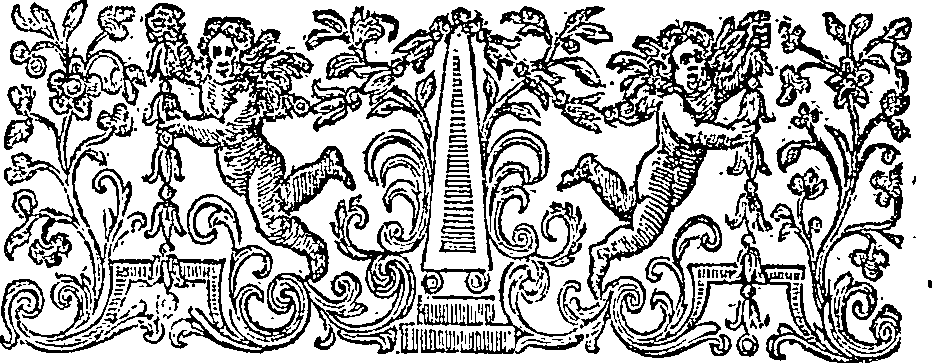 019/019630010400500_2.png