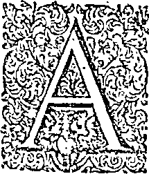 019/019630010402510_0.png