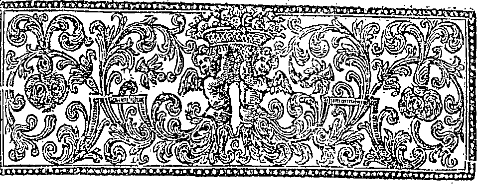 019/019630010402510_2.png