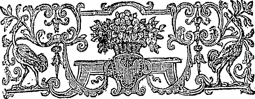 019/019630010402950_1.png