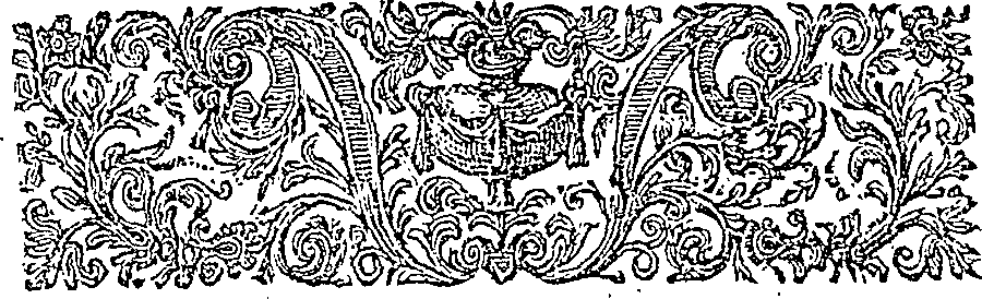 019/019630010404440_1.png