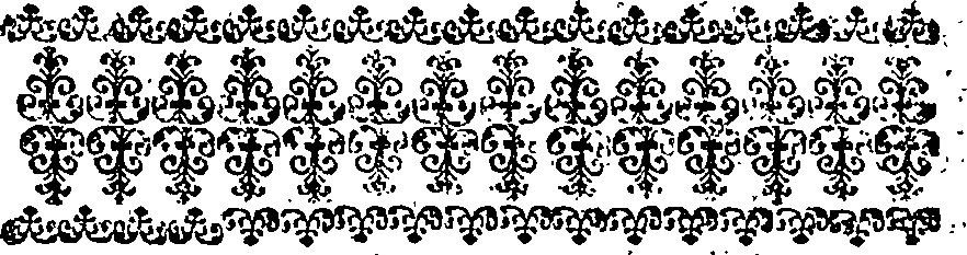 019/019640050203940_2.png