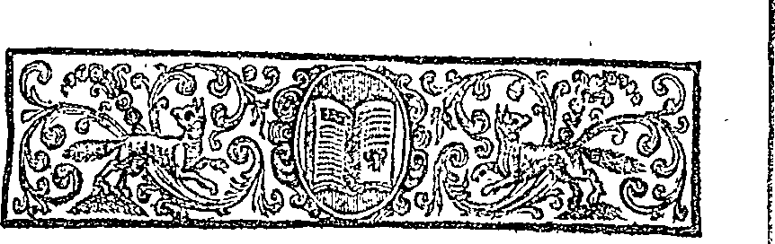 019/019650010402320_1.png