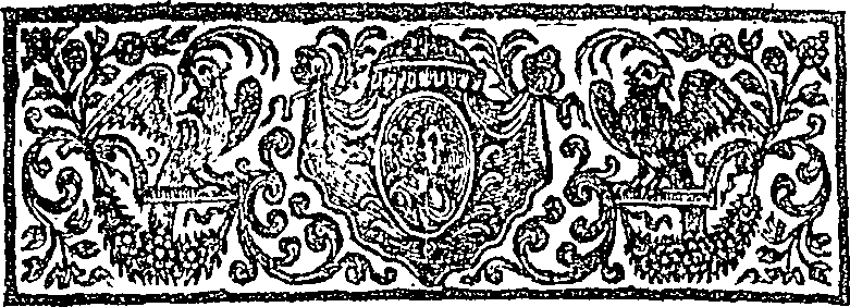 019/019650010405080_1.png