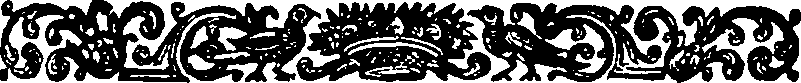 019/019660030000810_1.png