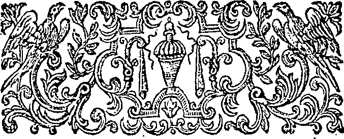 019/019700010300190_1.png