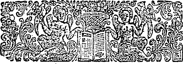 019/019700010305200_1.png