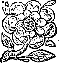 019/019700010501580_0.png