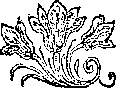 019/019710030002700_0.png