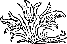 019/019710030003830_0.png