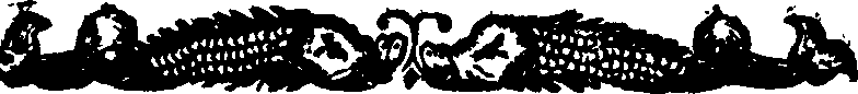 019/019770080000050_1.png