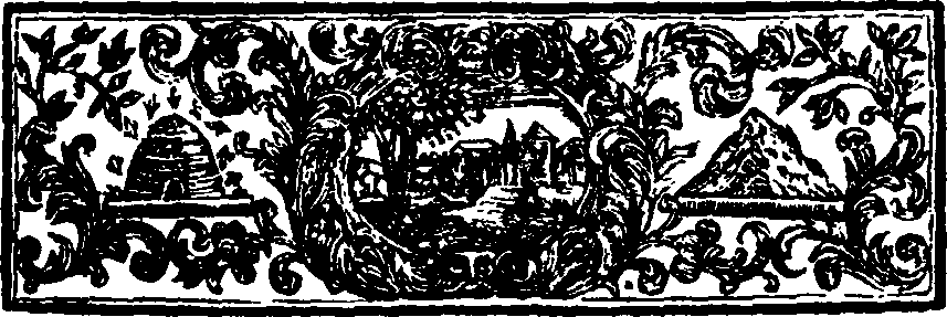 019/019770080000070_1.png