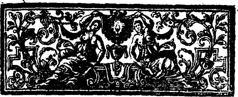 019/019790050000040_1.png