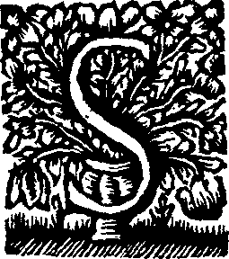 019/019800030000020_0.png