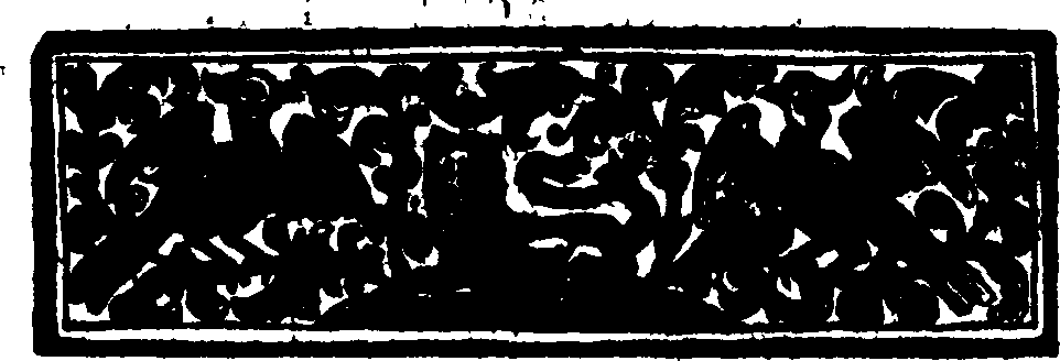 019/019800290000020_1.png